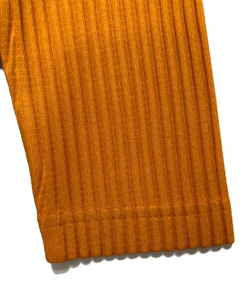 HOMME PLISSE ISSEY MIYAKE（オム プリッセ イッセイ ミヤケ）HOMME PLISSE ISSEY MIYAKE (オム プリッセ イッセイ ミヤケ) プリーツカットソー ブラウン×ブルー サイズ:FREEの古着・服飾アイテム