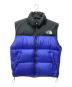 THE NORTH FACE（ザ ノース フェイス）の古着「ダウンベスト」｜ブルー