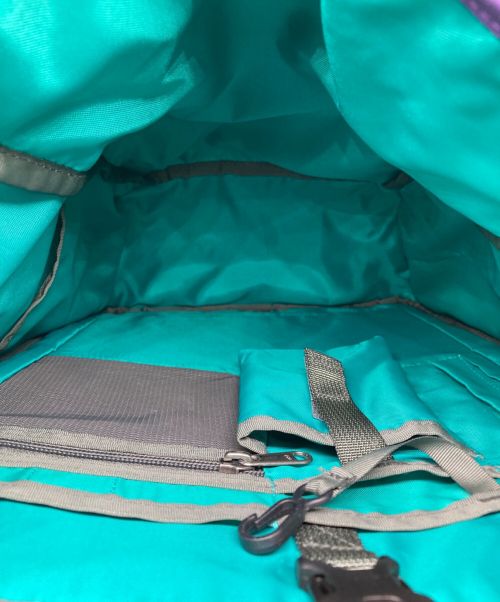 Patagonia（パタゴニア）Patagonia (パタゴニア) Critical Mass Pack パープル×グリーンの古着・服飾アイテム