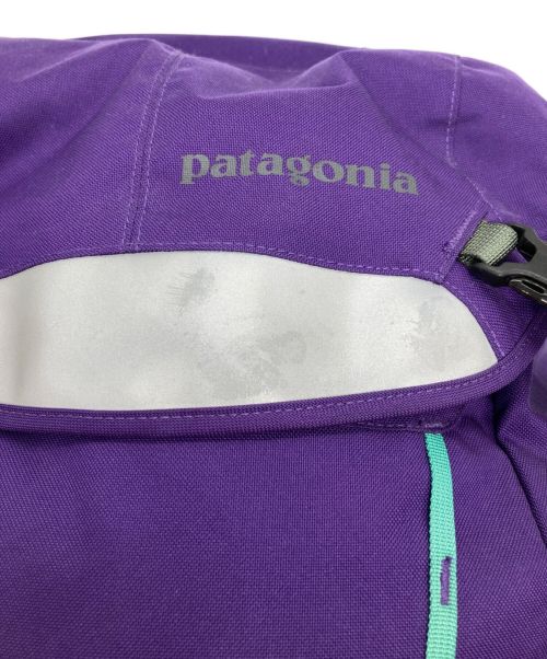 Patagonia（パタゴニア）Patagonia (パタゴニア) Critical Mass Pack パープル×グリーンの古着・服飾アイテム