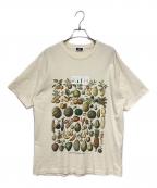 KITHキス）の古着「半袖Tシャツ」｜アイボリー