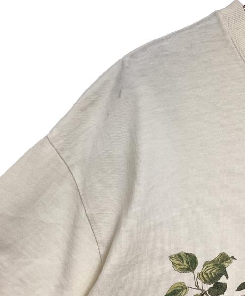 KITH（キス）KITH (キス) 半袖Tシャツ アイボリー サイズ:Sの古着・服飾アイテム