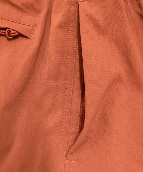 NIKE ACG（ナイキエーシージー）NIKE ACG (ナイキエージーシー) CARGO SHORT ブラウン サイズ:Lの古着・服飾アイテム