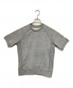 THE NORTH FACEザ ノース フェイス）の古着「S/S Color Heatherd Sweat Crew」｜グレー