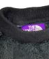 中古・古着 THE NORTHFACE PURPLELABEL (ザ・ノースフェイス パープルレーベル) POLARTEC Crew Neck Shirt ブラック サイズ:S：8000円