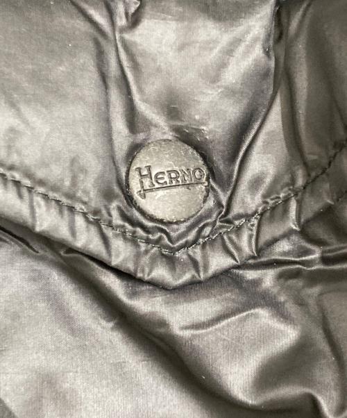HERNO（ヘルノ）HERNO (ヘルノ) ダウンジャケット ブラック サイズ:46の古着・服飾アイテム