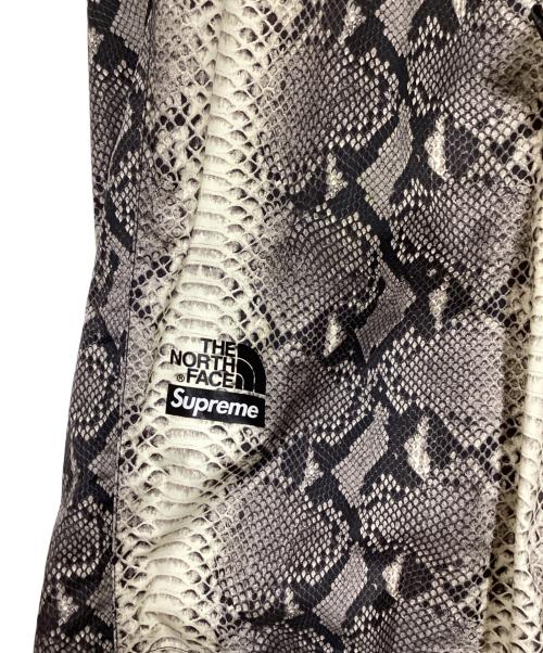 SUPREME（シュプリーム）SUPREME (シュプリーム) THE NORTH FACE (ザ ノース フェイス) SNAKE PANTS グレー サイズ:Lの古着・服飾アイテム