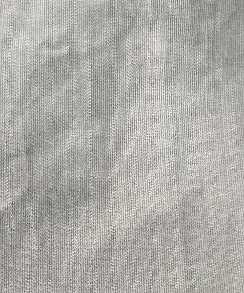 PT TORINO（ピーティートリノ）PT TORINO (ピーティートリノ) GRUNGEストレッチパンツ グレー サイズ:32の古着・服飾アイテム