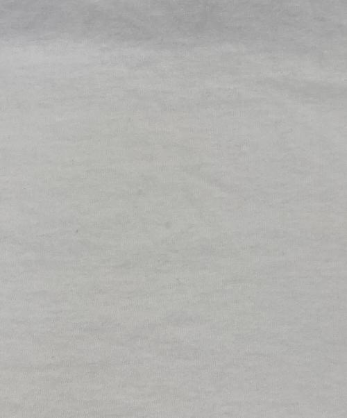 stussy（ステューシー）stussy (ステューシー) カメラマンプリントTシャツ ホワイト サイズ:Mの古着・服飾アイテム