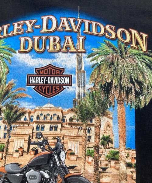 HARLEY-DAVIDSON（ハーレーダビッドソン）HARLEY-DAVIDSON (ハーレーダビッドソン) 【古着】プリントTシャツ ブラック サイズ:Lの古着・服飾アイテム