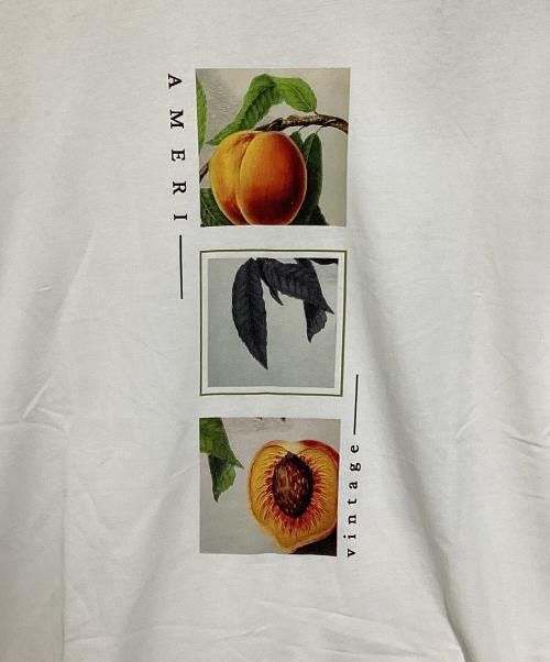 Ameri VINTAGE（アメリヴィンテージ）Ameri VINTAGE (アメリヴィンテージ) CROP FRAME PLUM TEE ホワイト サイズ:Fの古着・服飾アイテム