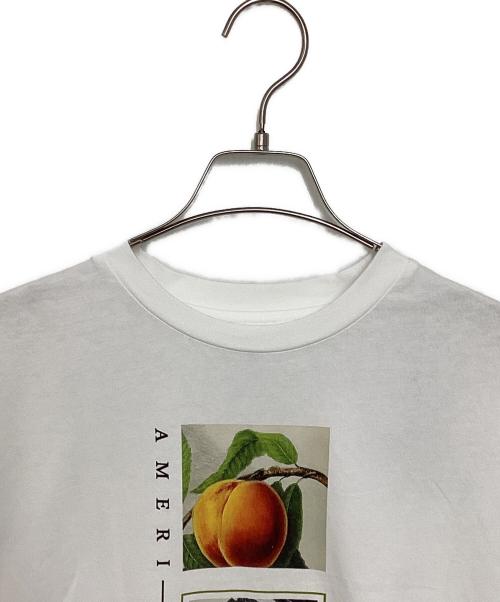 Ameri VINTAGE（アメリヴィンテージ）Ameri VINTAGE (アメリヴィンテージ) CROP FRAME PLUM TEE ホワイト サイズ:Fの古着・服飾アイテム