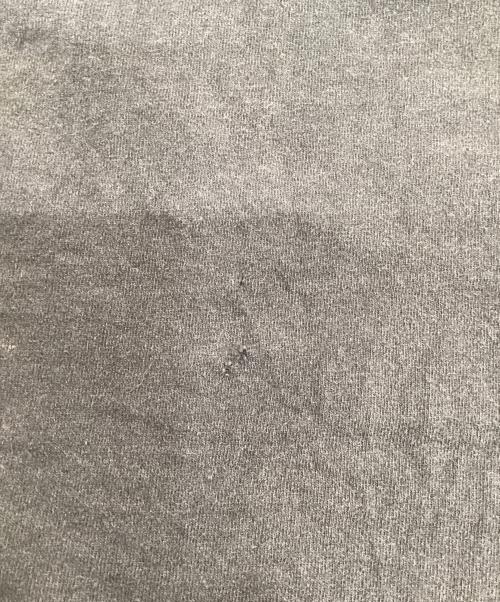 LOONEY TUNES（ルーニーチューンズ）LOONEY TUNES (ルーニーチューンズ) キャラクタープリントTシャツ(タズ) チャコールグレー サイズ:LARGEの古着・服飾アイテム