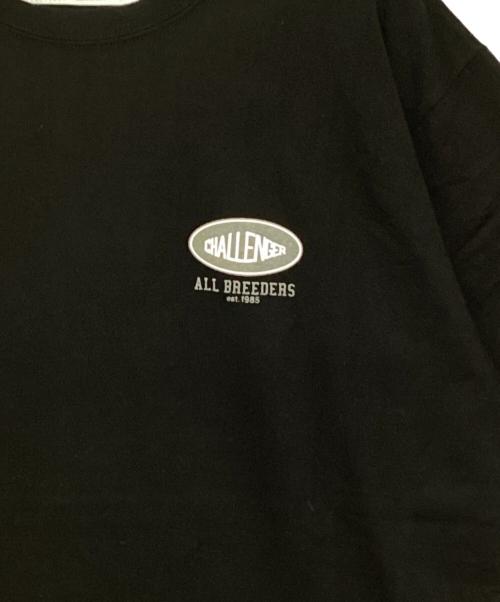 CHALLENGER（チャレンジャー）CHALLENGER (チャレンジャー) THE LAND TEE ブラック サイズ:XLの古着・服飾アイテム
