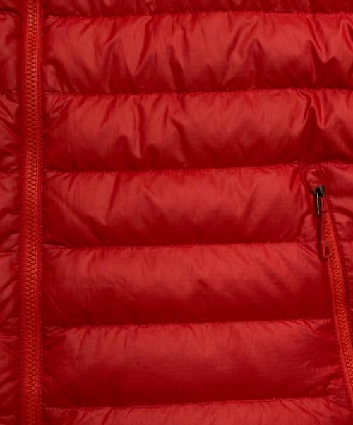 Patagonia（パタゴニア）Patagonia (パタゴニア) ダウンセーター レッド サイズ:Lの古着・服飾アイテム