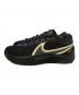 NIKE (ナイキ) Giannis Zoom Freak 6 Black Label ブラック サイズ:US9：8000円
