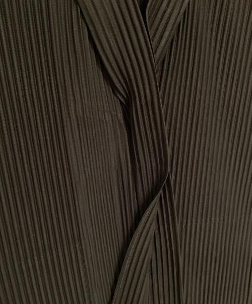 HOMME PLISSE ISSEY MIYAKE（オム プリッセ イッセイ ミヤケ）HOMME PLISSE ISSEY MIYAKE (オム プリッセ イッセイ ミヤケ) プリーツボウタイベスト ブラウン サイズ:2の古着・服飾アイテム