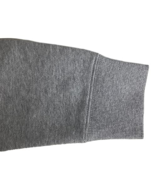 THE NORTH FACE（ザ ノース フェイス）THE NORTH FACE (ザ ノース フェイス) リアビューフルジップフーディ グレー サイズ:Lの古着・服飾アイテム