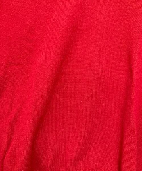 POLO RALPH LAUREN（ポロ・ラルフローレン）POLO RALPH LAUREN (ポロ・ラルフローレン) Vネックニット レッド サイズ:Ｌの古着・服飾アイテム