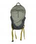 SALOMON（サロモン）の古着「バックパック」｜グレー