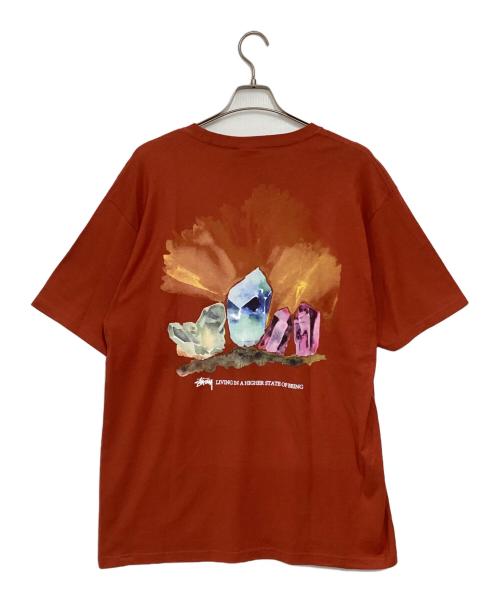stussy（ステューシー）stussy (ステューシー) HIGHER STATE TEE/ハイヤーステージティー レッド サイズ:Lの古着・服飾アイテム