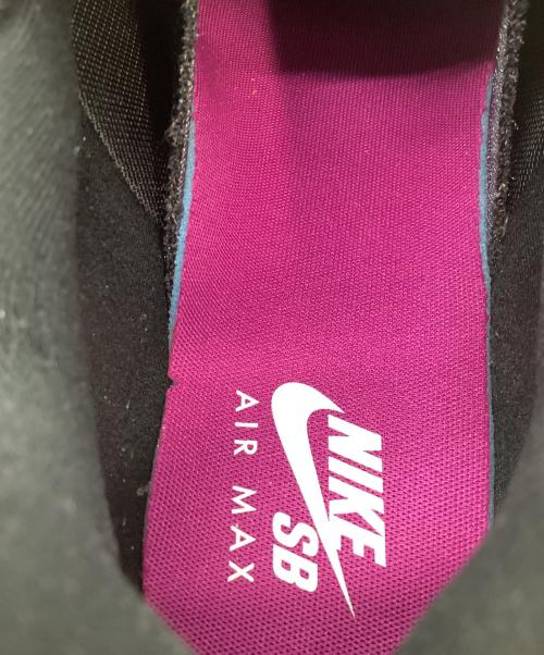 NIKE SB（ナイキエスビー）NIKE SB (ナイキエスビー) Air Max 95 ローカットスニーカー ホワイト×グレー サイズ:30の古着・服飾アイテム