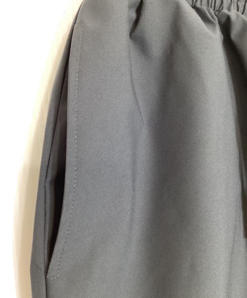 FEELS.（フィールズ）FEELS. (フィールズ) storm tech pants/ストームテックパンツ グレー サイズ:XLの古着・服飾アイテム