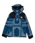 THE NORTH FACE（ザ ノース フェイス）の古着「NOVELTY GTX MOUNTAIN JACKET」｜ブルー
