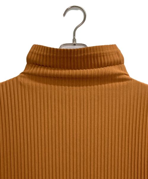 HOMME PLISSE ISSEY MIYAKE（オム プリッセ イッセイ ミヤケ）HOMME PLISSE ISSEY MIYAKE (オム プリッセ イッセイ ミヤケ) モックネックプリーツカットソー ブラウン サイズ:3の古着・服飾アイテム