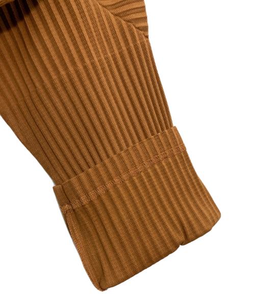 HOMME PLISSE ISSEY MIYAKE（オム プリッセ イッセイ ミヤケ）HOMME PLISSE ISSEY MIYAKE (オム プリッセ イッセイ ミヤケ) モックネックプリーツカットソー ブラウン サイズ:3の古着・服飾アイテム