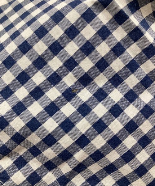 stussy（ステューシー）stussy (ステューシー) Gingham Check S/S Shirt/ギンガムチェックS/Sシャツ ブルー×ホワイト サイズ:Mの古着・服飾アイテム
