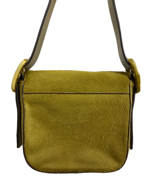 TORY BURCH（トリーバーチ）TORY BURCH (トリーバーチ) ハラコレザーワンショルダーバッグ オリーブの古着・服飾アイテム