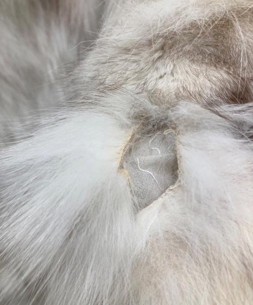 PEACH JOHN（ピーチジョン）PEACH JOHN (ピーチジョン) ブルーフォックスファージャケット ホワイト サイズ:MLの古着・服飾アイテム