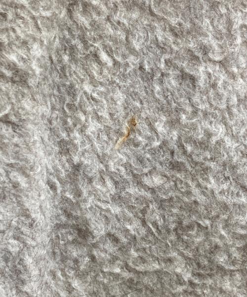 JOHN MASON SMITH（ジョンメイソンスミス）JOHN MASON SMITH (ジョンメイソンスミス) YAKU PILE ELBOW PADS SWEAT ベージュ サイズ:Mの古着・服飾アイテム