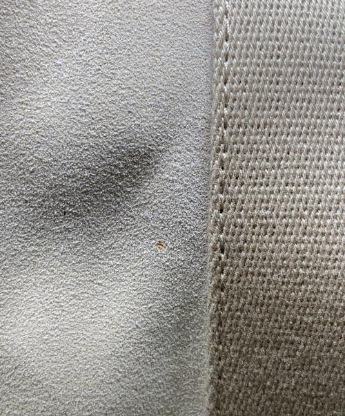 VIOLAd'ORO（ヴィオラドーロ）VIOLAd'ORO (ヴィオラドーロ) エコスウェード2wayバッグ ベージュの古着・服飾アイテム