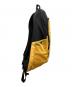 THE NORTH FACE (ザ ノース フェイス) Vaultバックパック イエロー：7000円