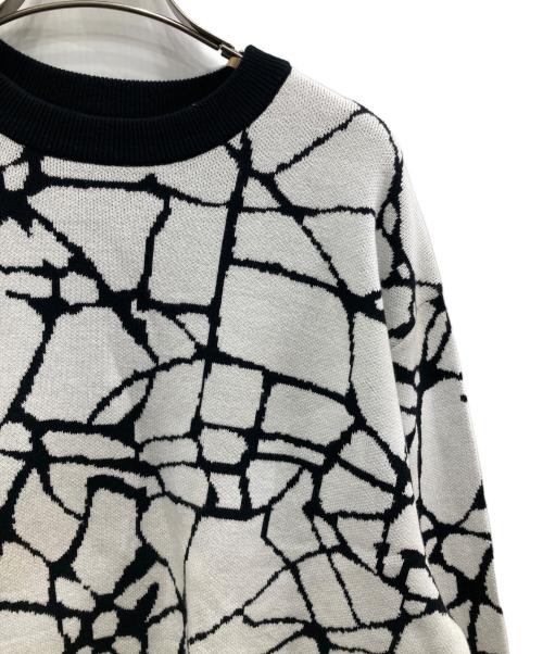 SUPPLIER（サプライヤー）SUPPLIER (サプライヤー) CRACK CREW KNIT ホワイト サイズ:FREEの古着・服飾アイテム