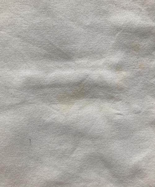 CarHartt（カーハート）CarHartt (カーハート) B04 Drill Double-Front Work Dungaree/B04 ダブルニー ドリル ワーク ダンガリー アイボリー サイズ:38×32の古着・服飾アイテム