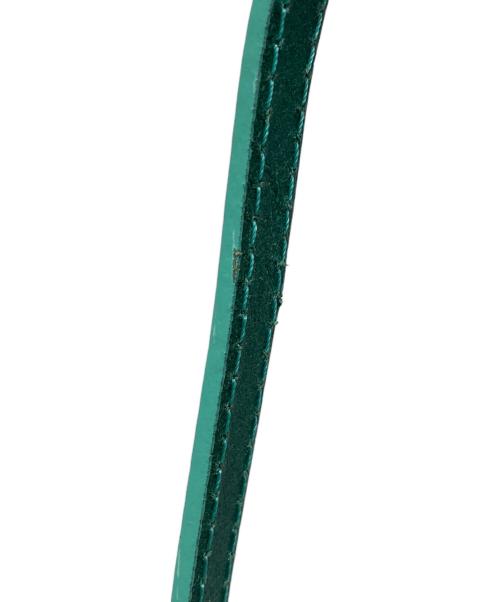 ROBERTA PIERI（ロベルタピエリ）ROBERTA PIERI (ロベルタピエリ) タタミ マイクロ ショルダーバッグ グリーンの古着・服飾アイテム