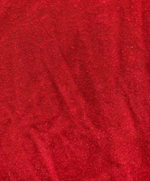 freada（フリーダ）freada (フリーダ) フットボールTシャツ レッド×ホワイト サイズ:ONE SIZEの古着・服飾アイテム