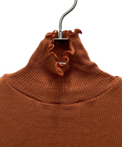 hakuji（ハクジ）HAKUJI (ハクジ) Wool rib H/N PO/カットソー ブラウン サイズ:F 未使用品の古着・服飾アイテム