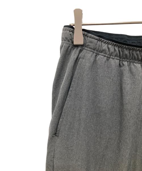 THE NORTH FACE（ザ ノース フェイス）THE NORTH FACE (ザ ノース フェイス) フレキシブルロングパンツ グレー サイズ:Mの古着・服飾アイテム