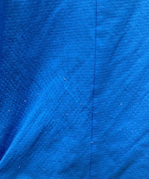 THE NORTH FACE（ザ ノース フェイス）THE NORTH FACE (ザ ノース フェイス) スワローテイルフーディー ブルー サイズ:Sの古着・服飾アイテム