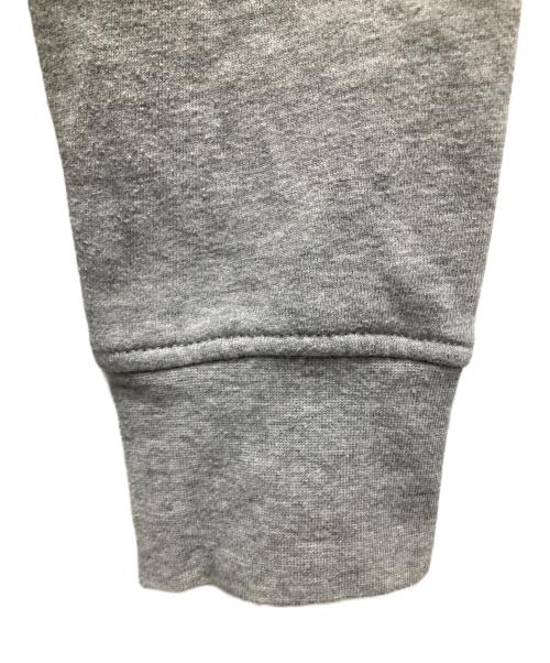 POLO RALPH LAUREN（ポロ・ラルフローレン）POLO RALPH LAUREN (ポロ・ラルフローレン) ビッグポニー刺繍プルオーバーパーカー グレー サイズ:Mの古着・服飾アイテム