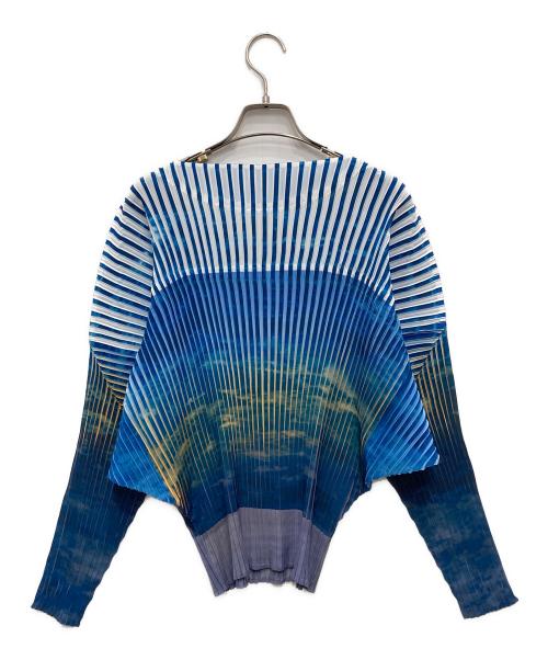 ISSEY MIYAKE（イッセイミヤケ）ISSEY MIYAKE (イッセイミヤケ) 総柄プリーツカットソー ブルー サイズ:2の古着・服飾アイテム