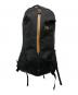 ARC'TERYX（アークテリクス）の古着「ARRO 22 BACKPACK/アロー 22 バックパック」｜ブラック