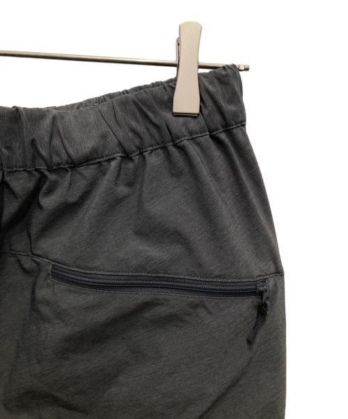THE NORTH FACE（ザ ノース フェイス）THE NORTH FACE (ザ ノース フェイス) VERB LIGHT PANT グレー サイズ:Lの古着・服飾アイテム