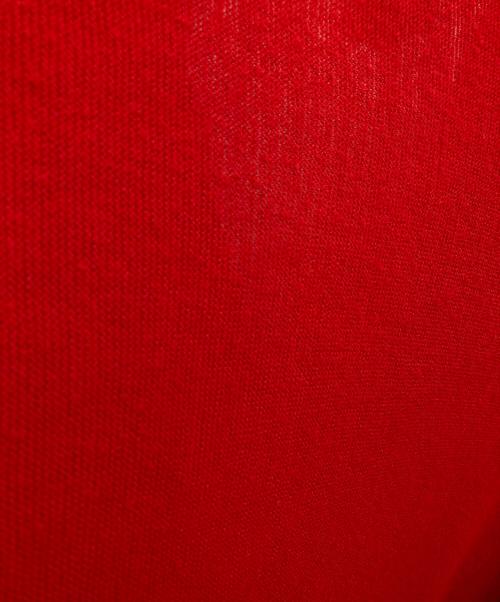 IZOD LACOSTE（アイゾッド ラコステ）IZOD LACOSTE (アイゾッド ラコステ) アクリルカーディガン レッド サイズ:Mの古着・服飾アイテム