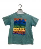 Patagoniaパタゴニア）の古着「絶滅危惧種プリントTee」｜グリーン