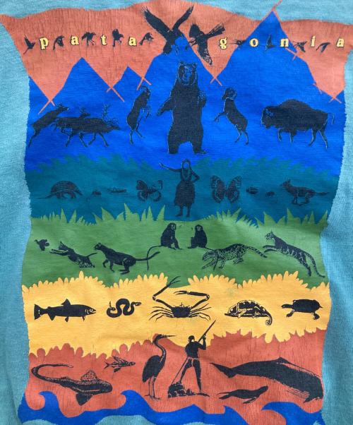 Patagonia（パタゴニア）Patagonia (パタゴニア) 絶滅危惧種プリントTee グリーン サイズ:SMALLの古着・服飾アイテム